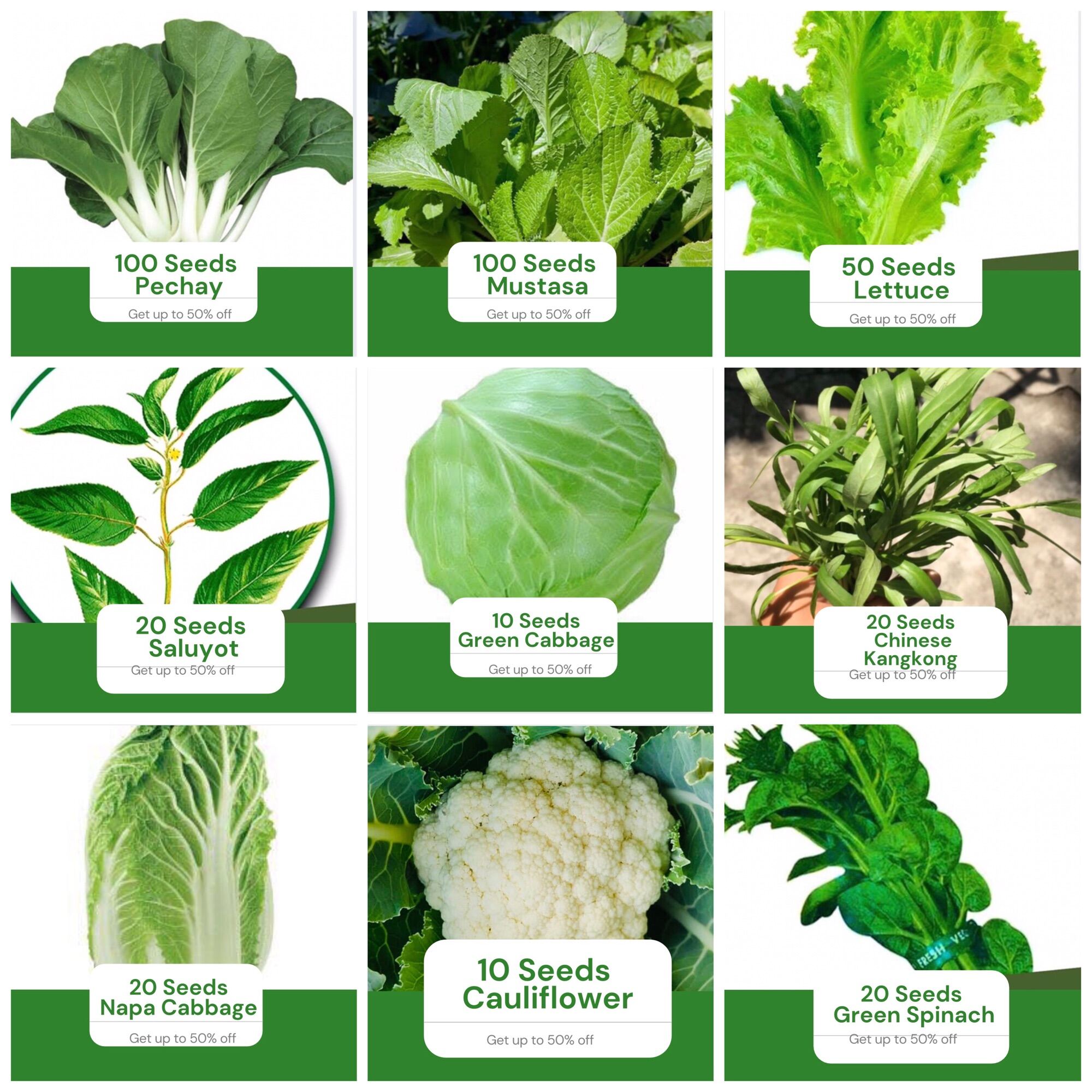 Binhi All in 9 in 1 Pack Vegetables Seeds (Pechay, Mustasa, Lettuce ...