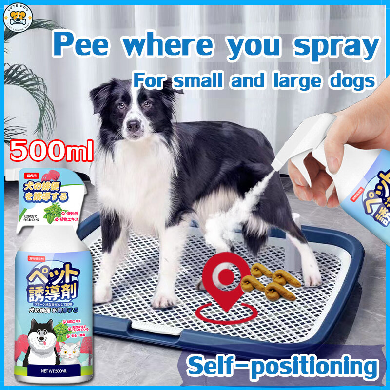 Spray to encourage dog best sale to pee