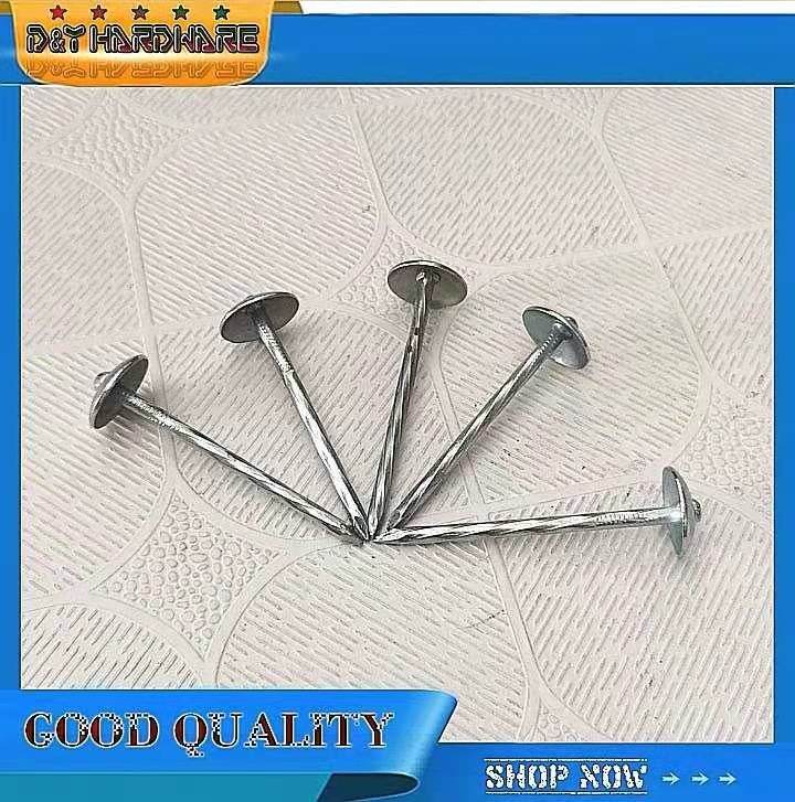 Umbrella nail Roofing Nail 21/2 inch, 1/2 kilo and 1 kilo Lazada PH