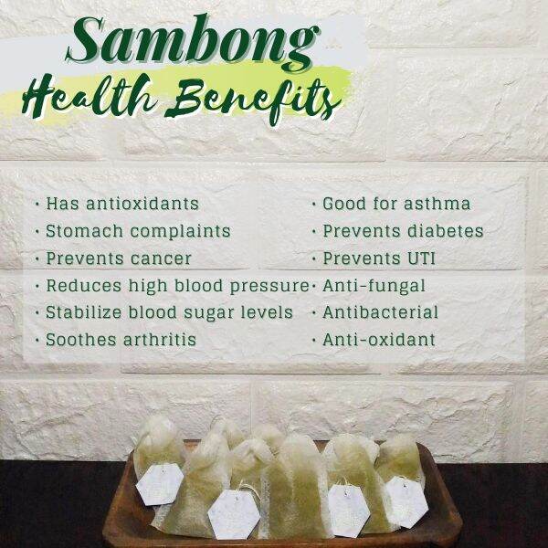 Premium Sambong Tea Net wt. 1.3oz (36g) Lazada PH