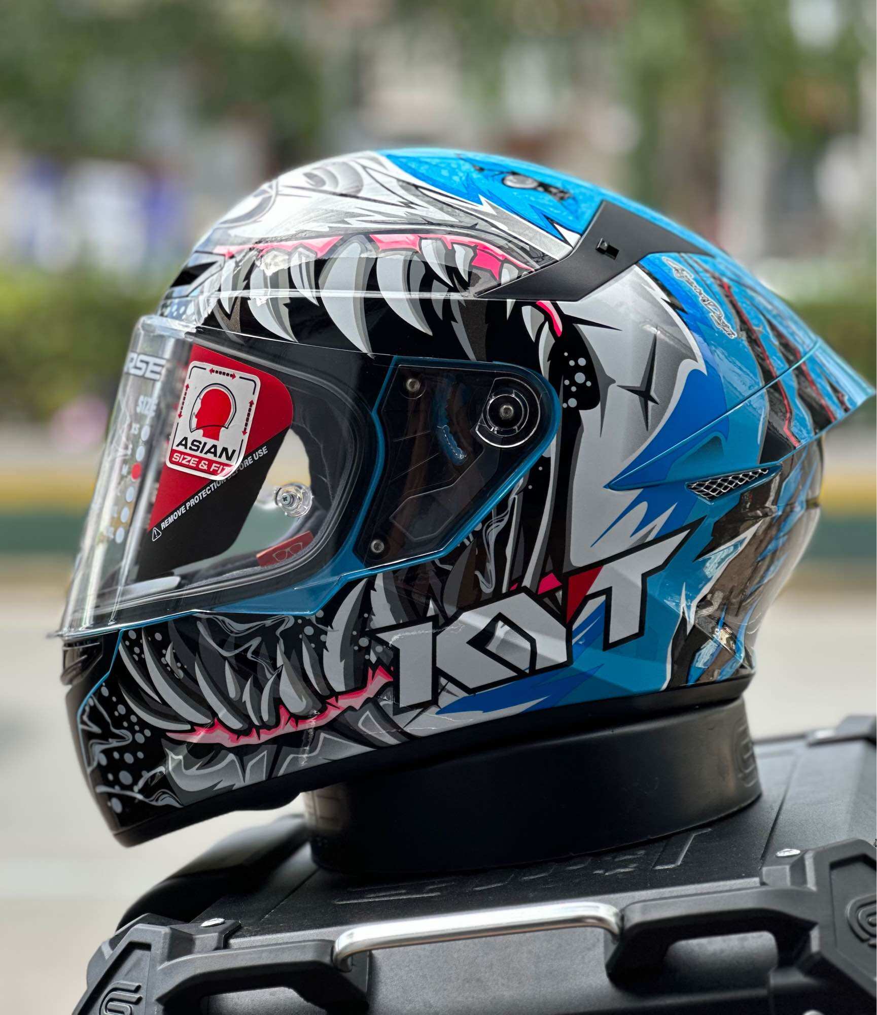 custom motorcycle helmets calgary Helmet Design for Motorsports, Motorbike, Scooter & Vintage