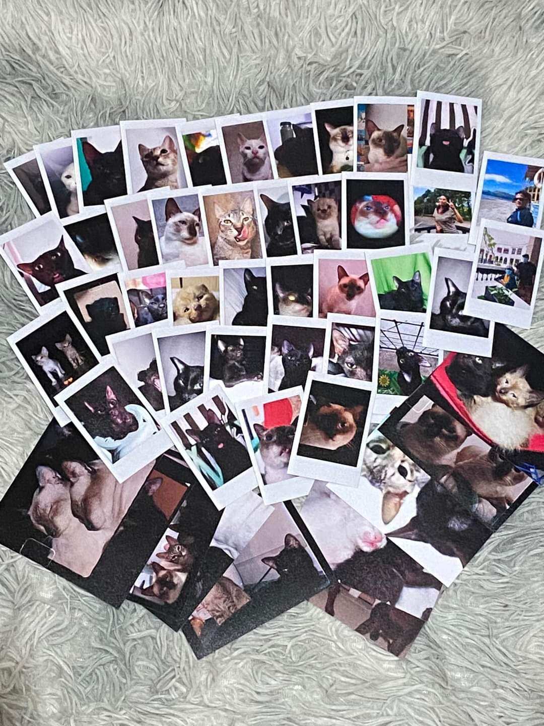 print instax mini photos