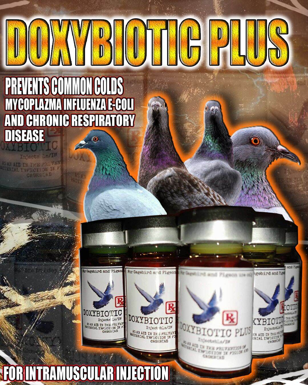 doxybiotics plus gamot sa pigeons 5ML 5Ml Pigeon Medication