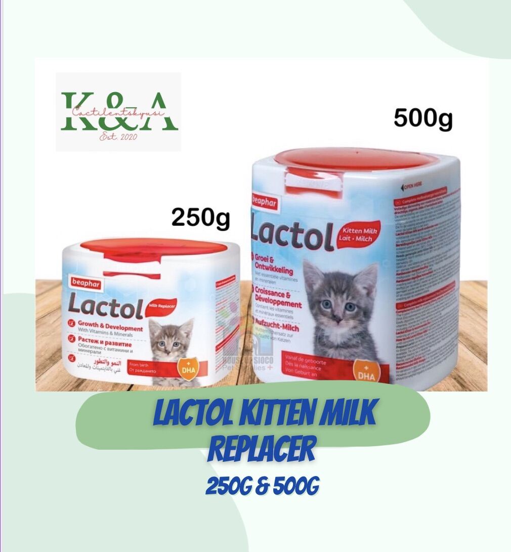 Lactol hotsell kitten milk