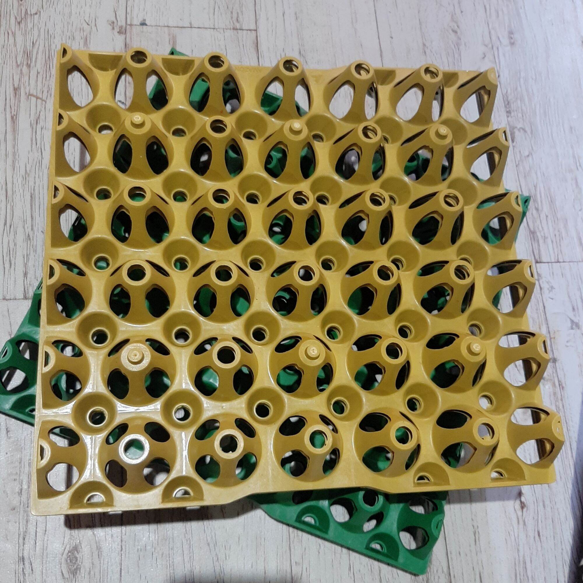 Plastic Egg Tray Regular