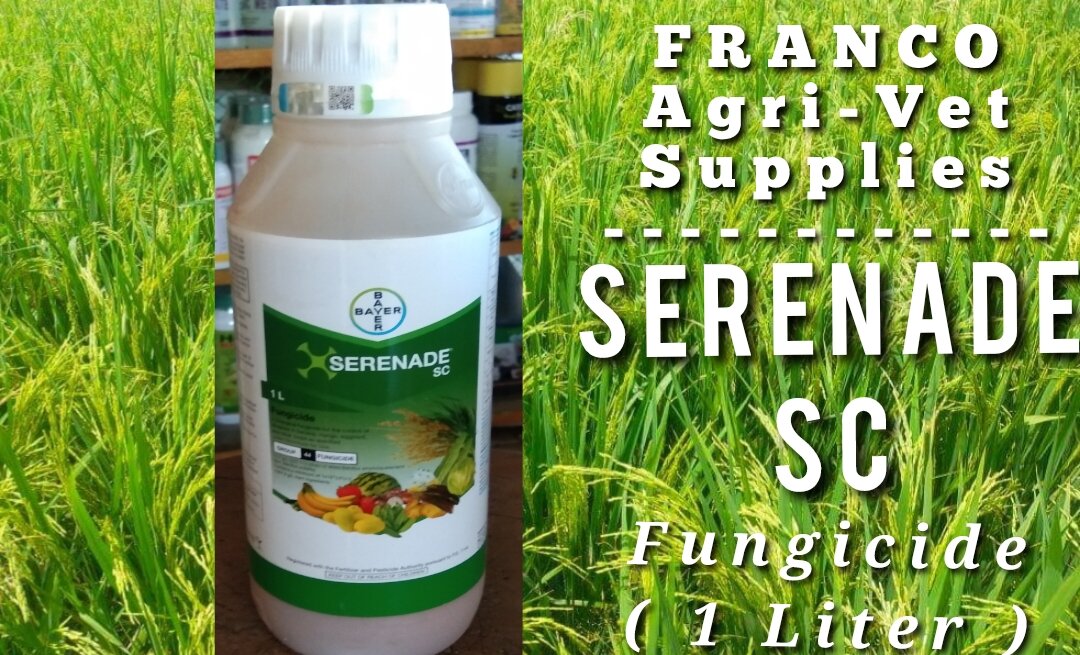 Serenade SC Fungicide ( 1 Liter ) | Lazada PH