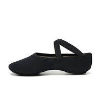 Sansha | Ballet Soft Shoes Micro Elastic Cat Claw Design