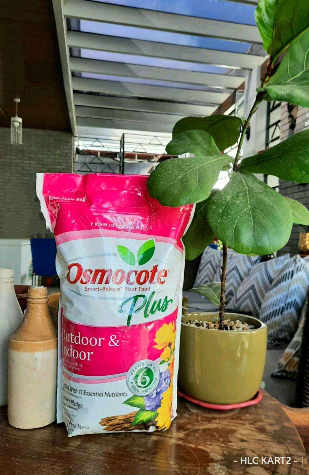 Osmocote 274850 SmartRelease Plant Food Plus Outdoor & Indoor, 8 lbs
