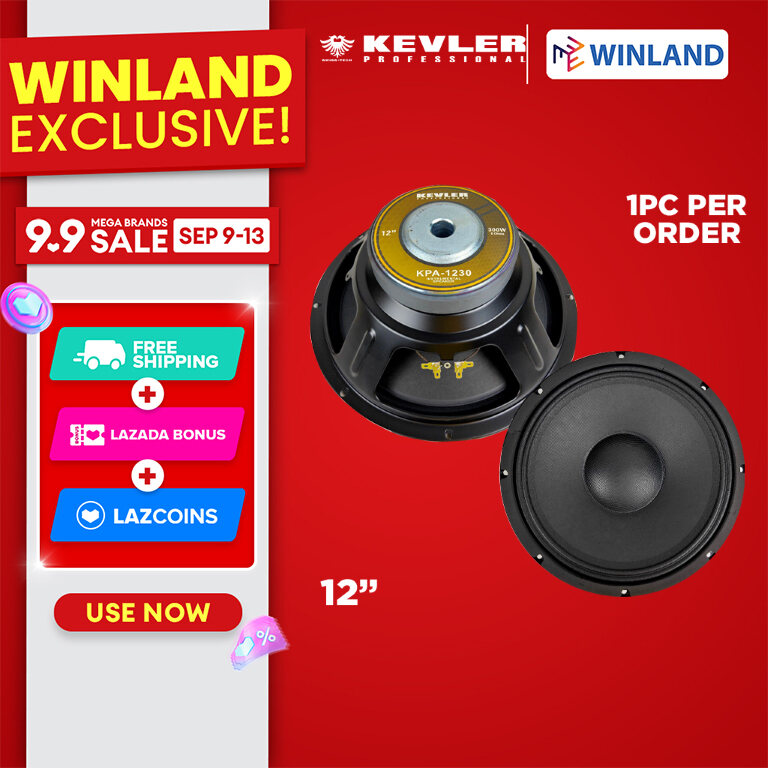 Kevler 12" 300W Instrumental Speaker (KPA-1230)