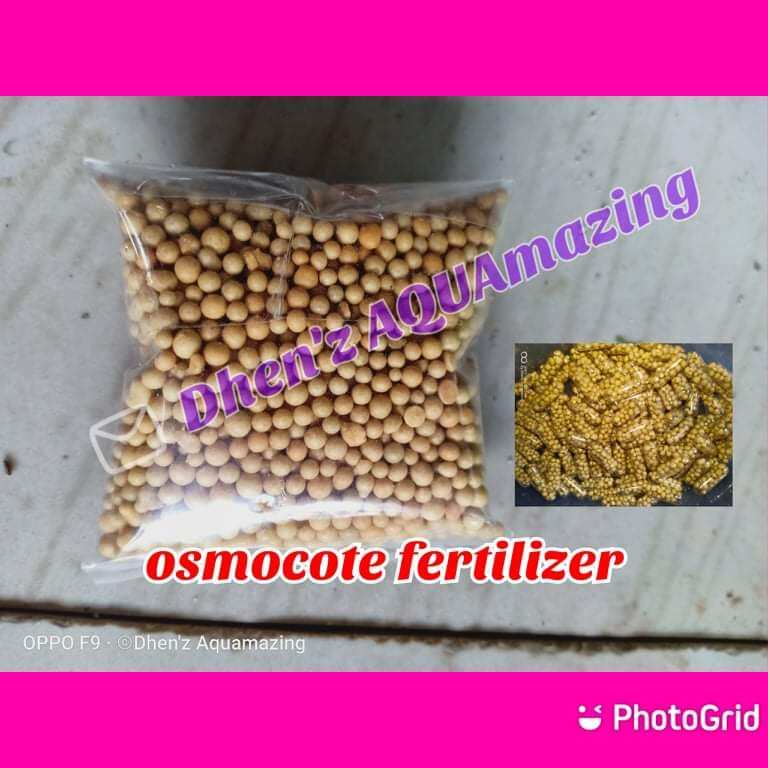 osmocote fertilizer root tabs Lazada PH