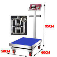 Camry | Stainless Steel Waterproof Folding Digital Scale 100kg