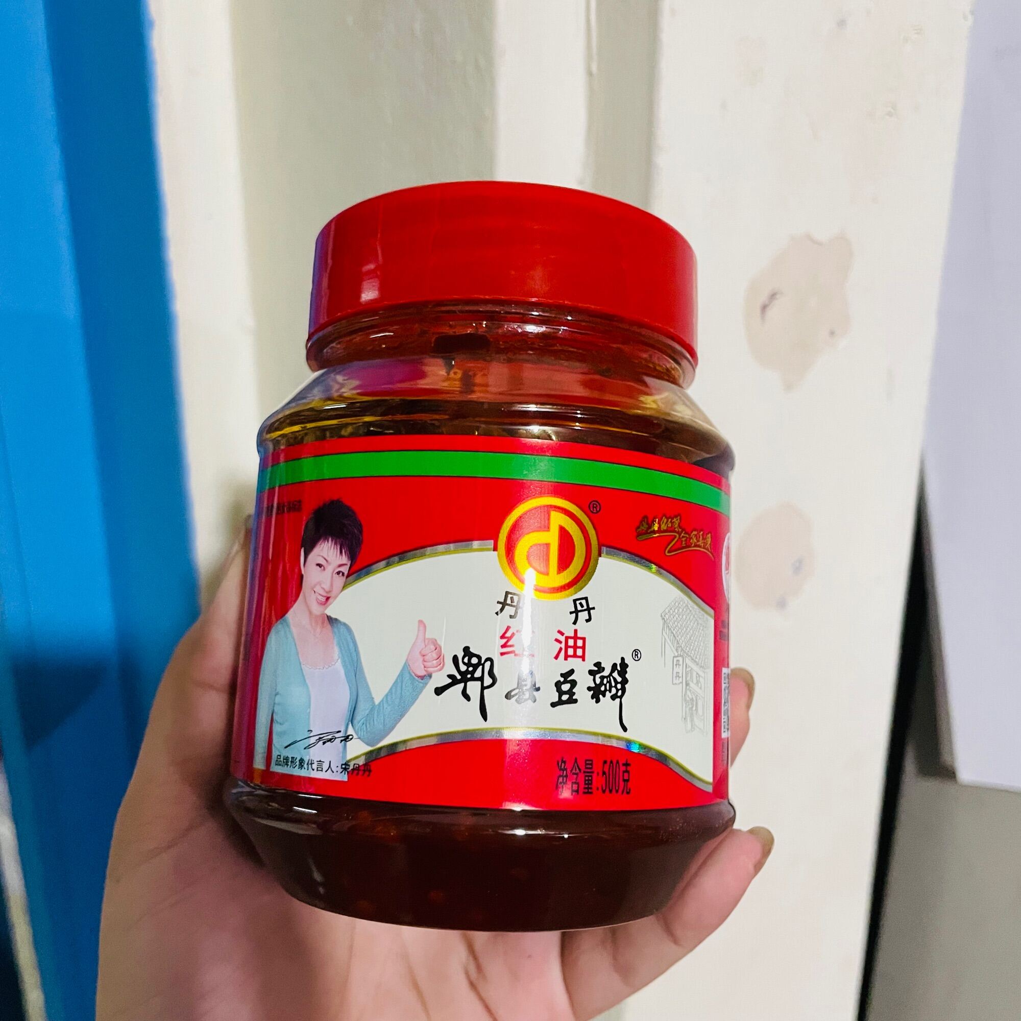 PIXIAN spicy broad bean paste chili oil chili sauce 500g Lazada PH