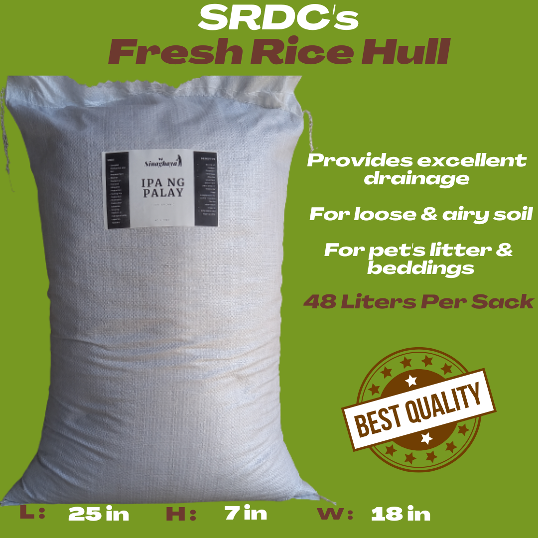 SRDC's 48 Liters Fresh rice Hull 48 Liters Ipa ng Palaya per Sack for