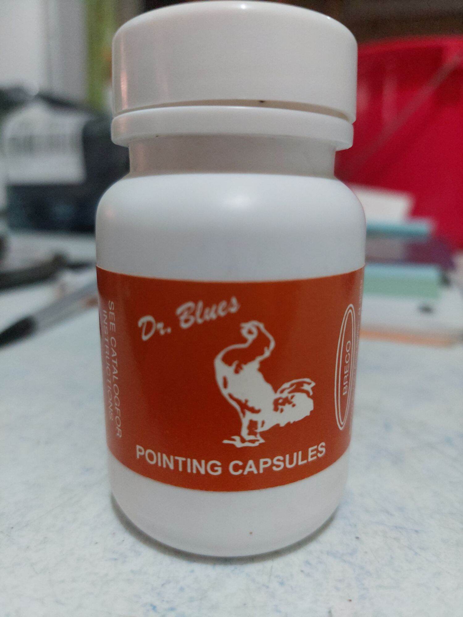 Pointing Capsule dr.blues Lazada PH
