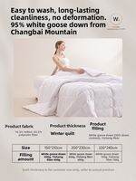 SNOWMAN | Water Washable 95 White Goose Down Duvet for Spring Autumn Winter Warmth