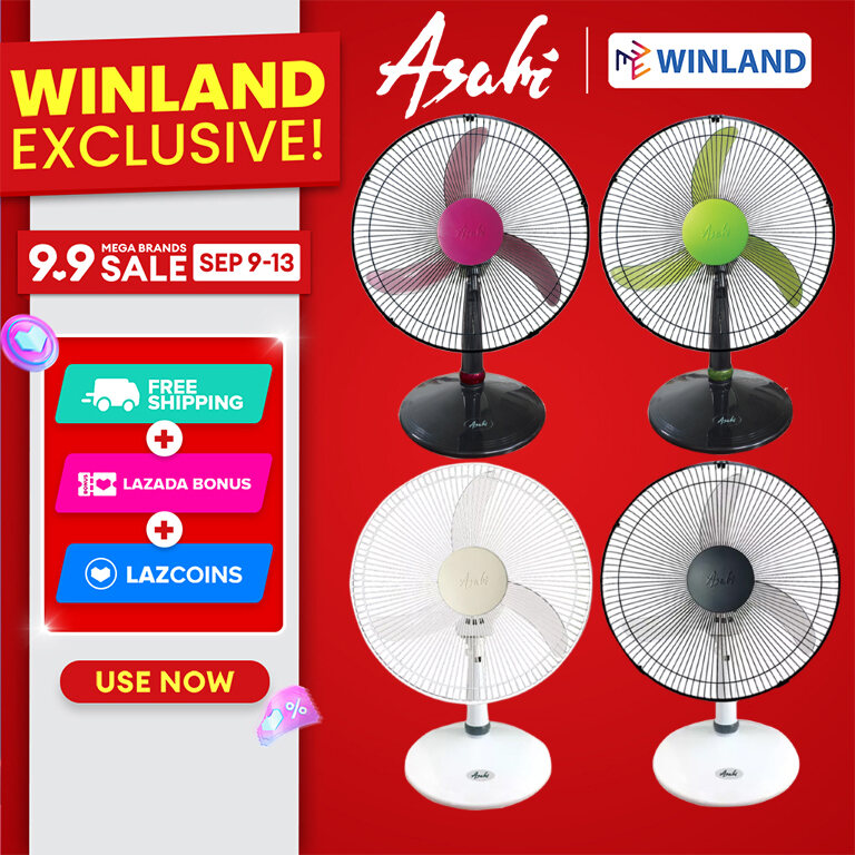 Winland 16" Desk Fan by Asahi