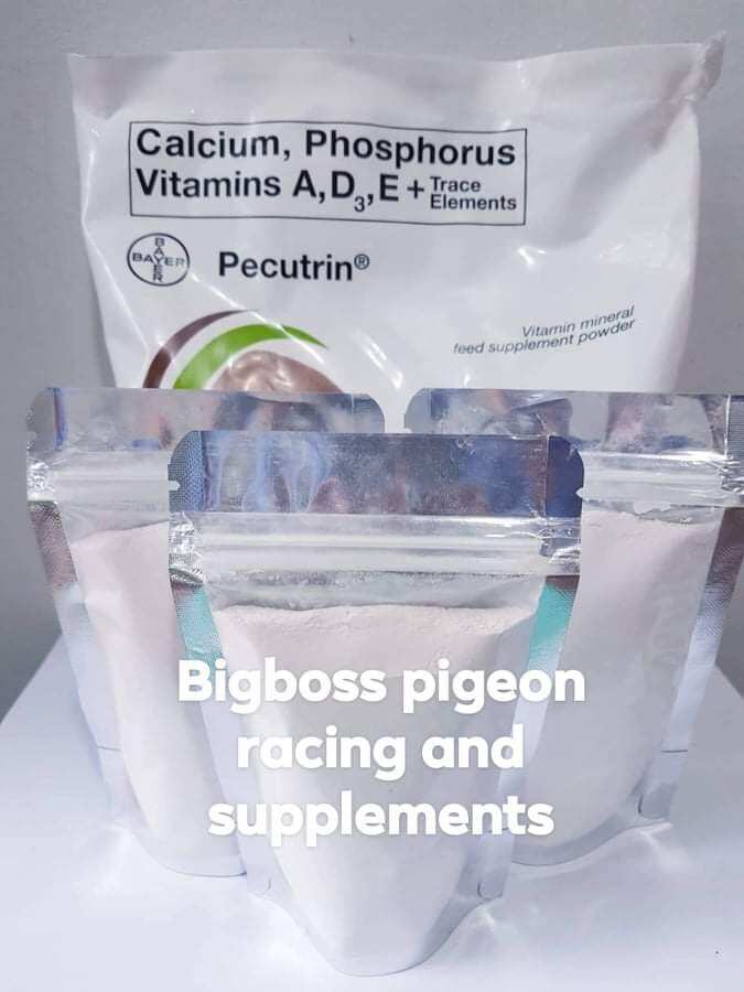 Bayer Pecutrin Vitamins Mineral Powder 100g