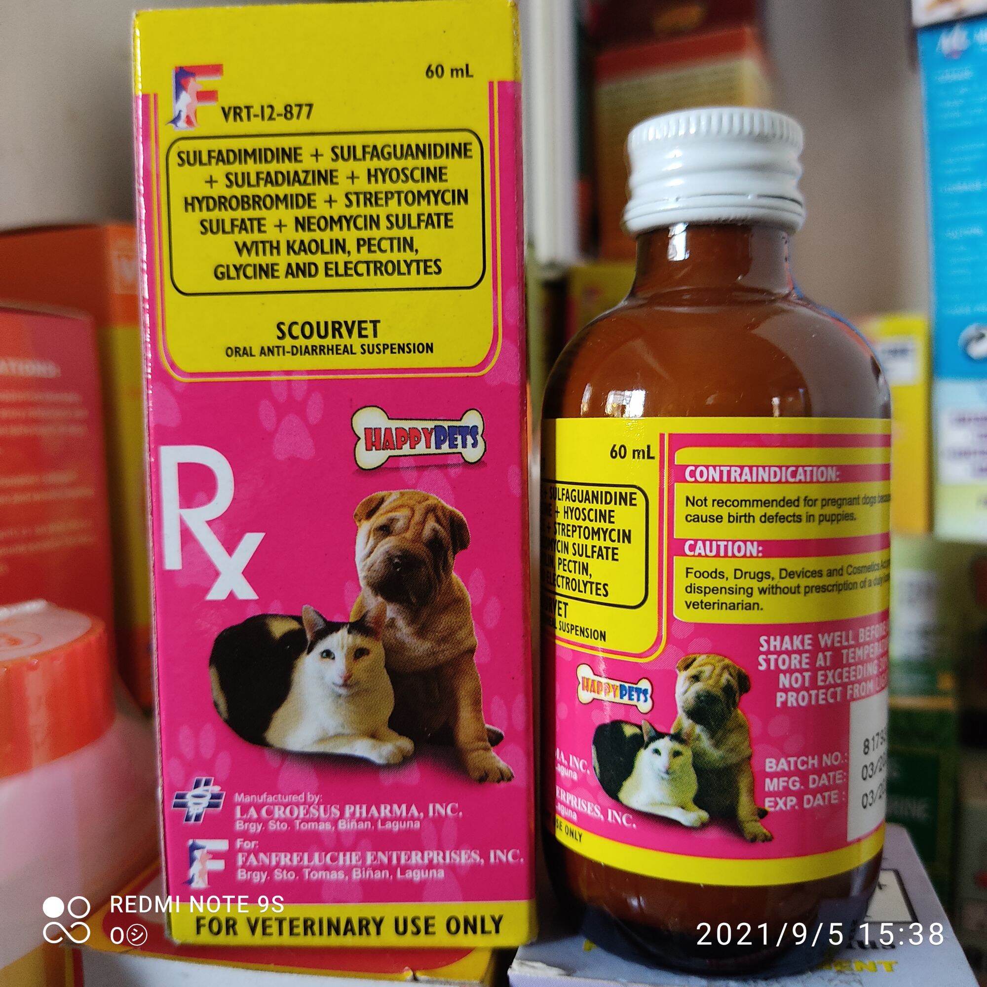 Do Pregnant Dogs Need Vitamins