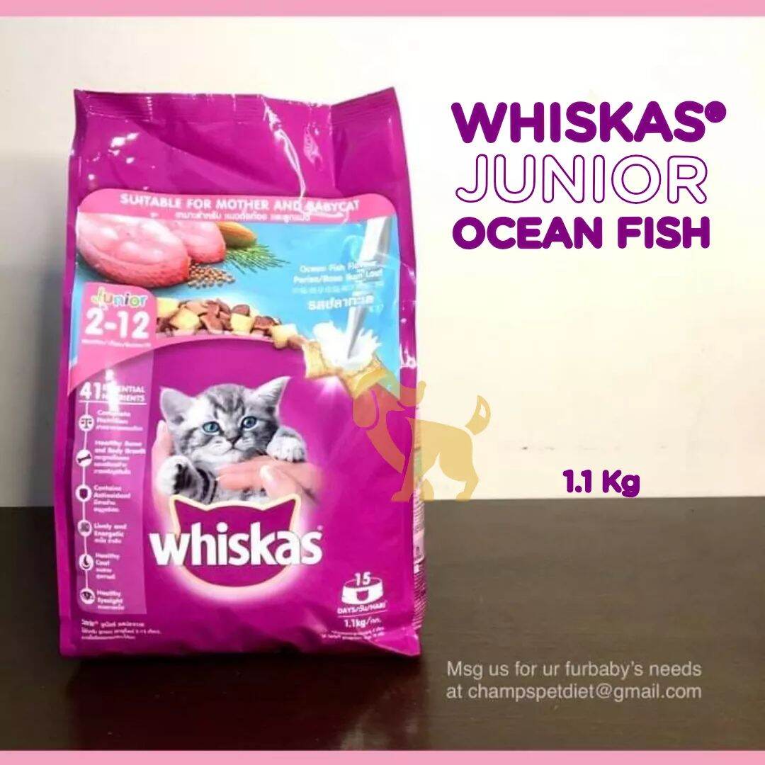 Whiskas Jr. 1.1kg Ocean Fish Flavor (for Kitten 212 months) Cat Dry