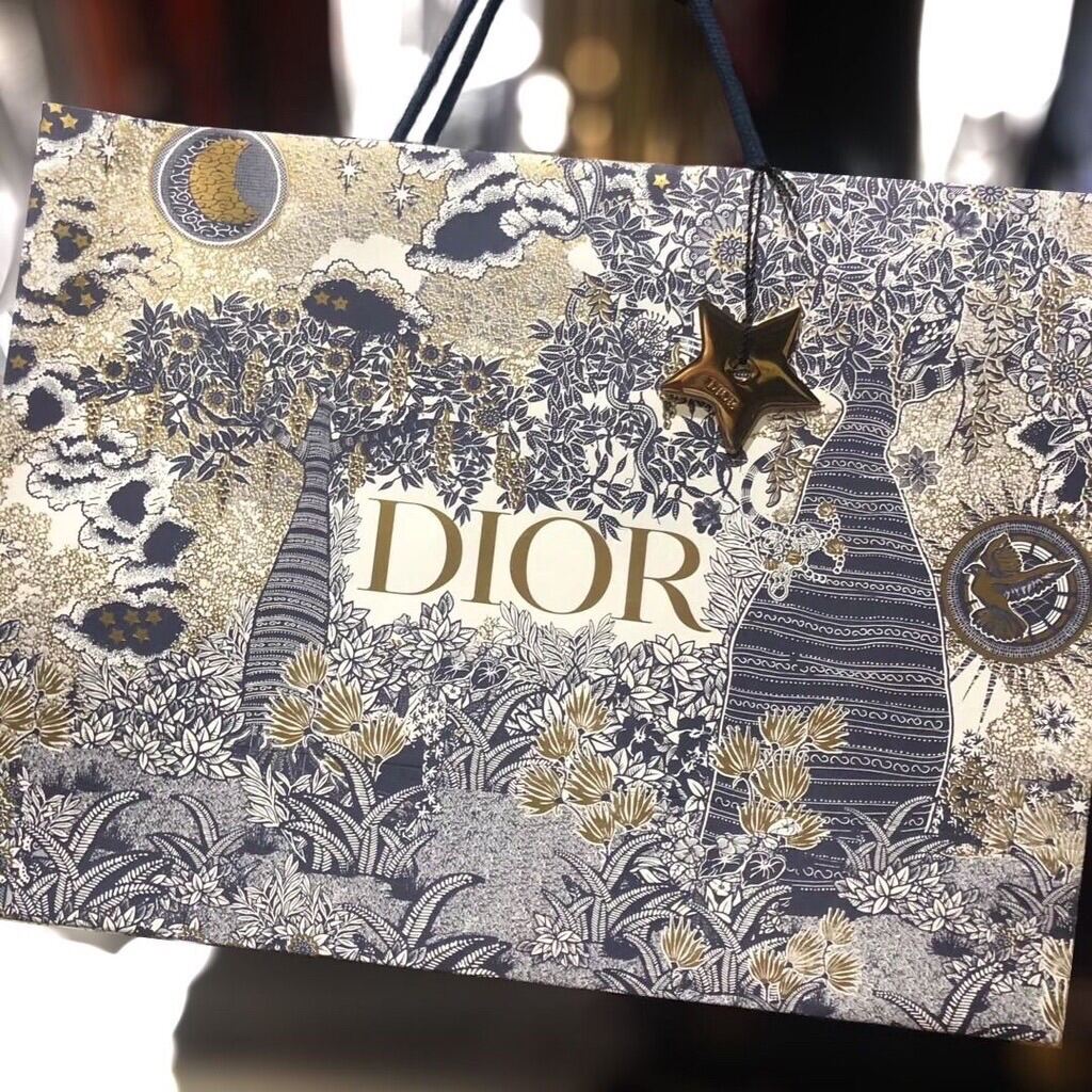 dior paper bag 2020