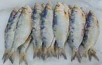 Salinas Dried Fish 250g | Palawan |  Quality | Medium