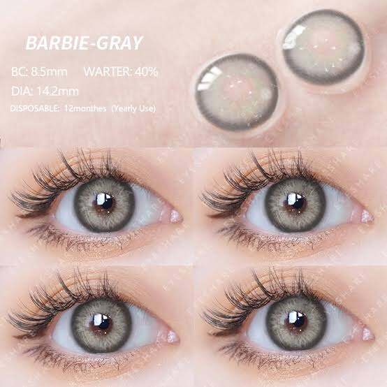 Barbie Gray Contact Lens Lazada PH