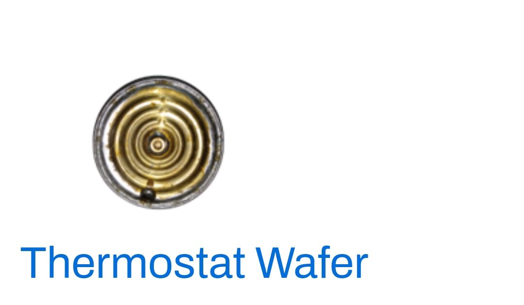 Thermostat Wafer | Lazada PH