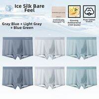 Nanjiren | Summer Ice Silk Plus Size Mens Briefs