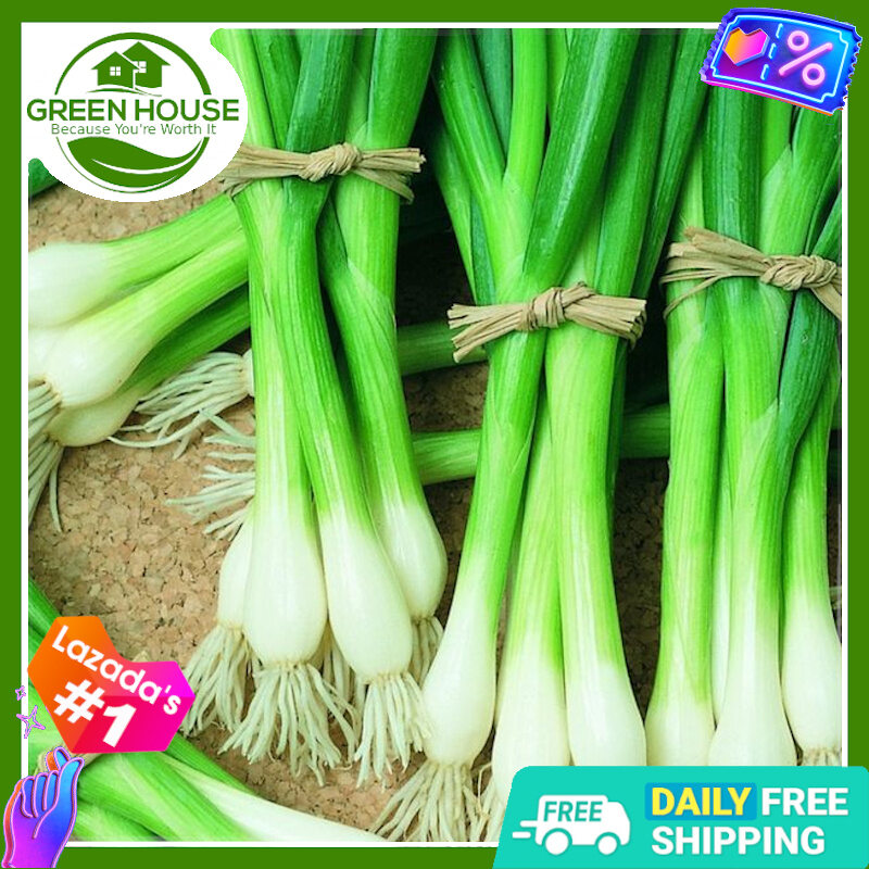 Green House® Spring Onion Seeds with FREE Planting Instructions