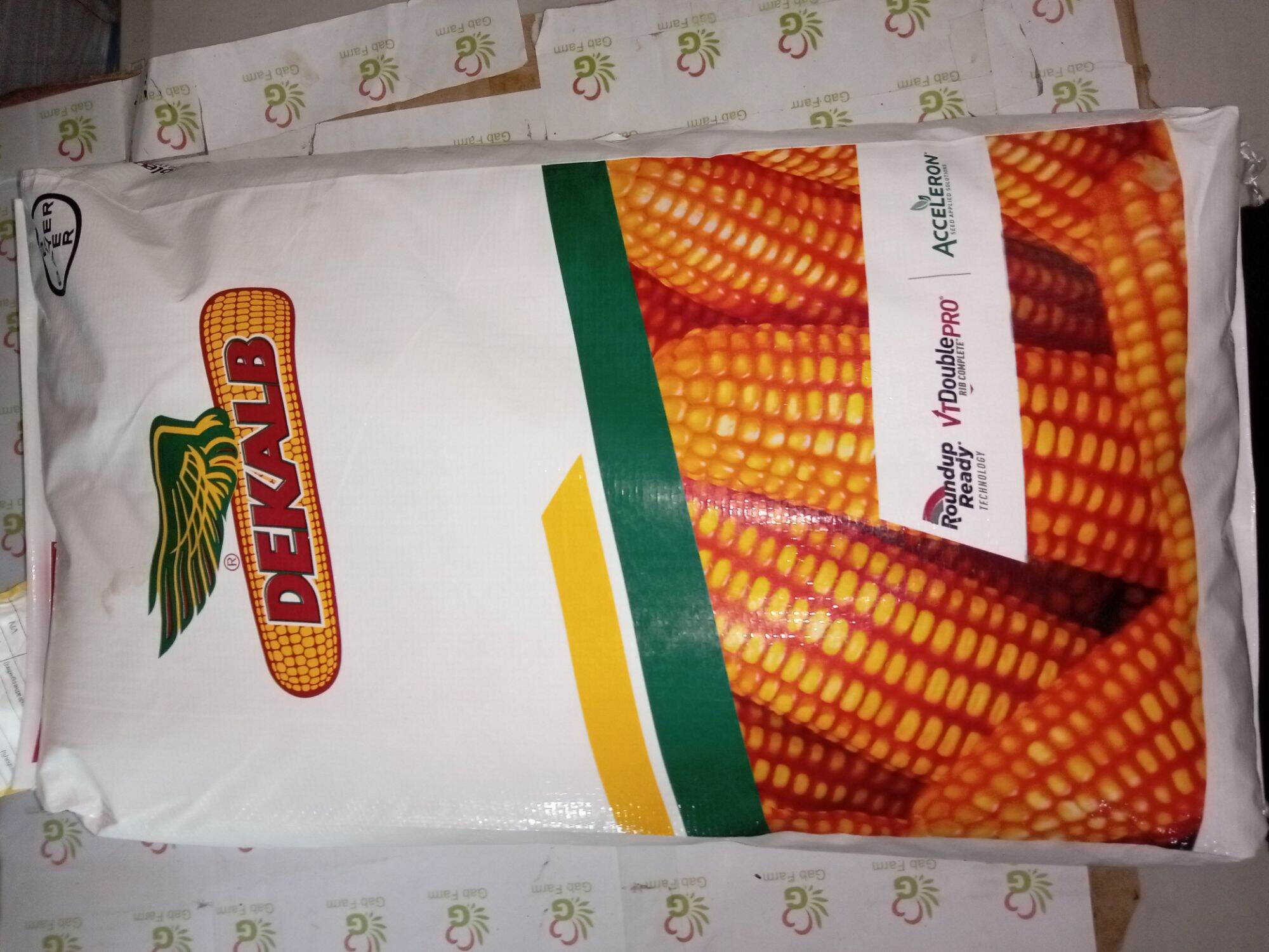 BAYER Dekalb 8282 Corn Lazada PH