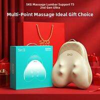SKG | Electric Car Seat Massage Lumbar Support