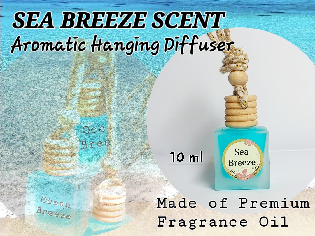 Car Aroma Diffuser with Sea Escape Car Fragrance Oil