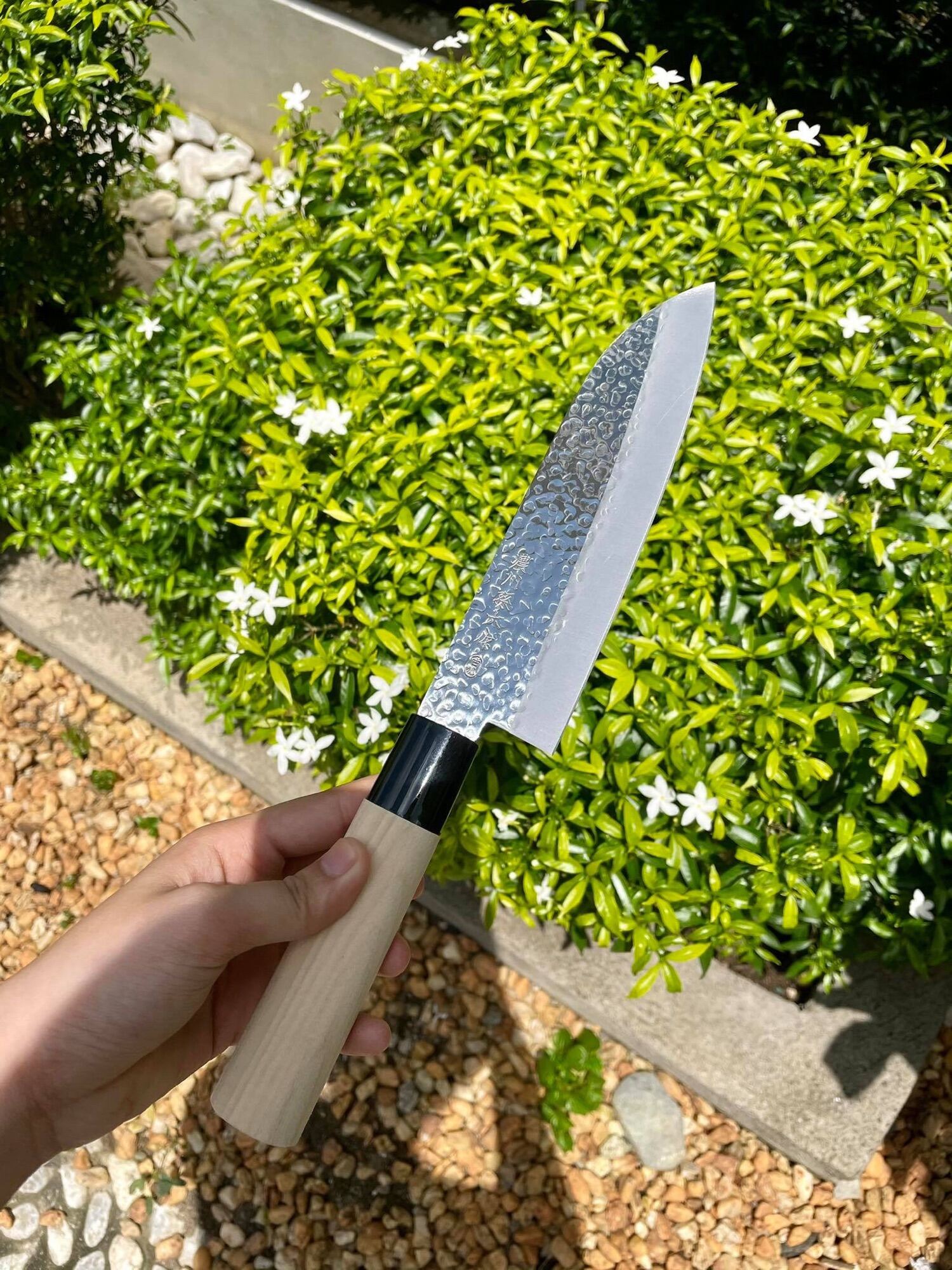 Hammered Finished Santoku Japanese Knife