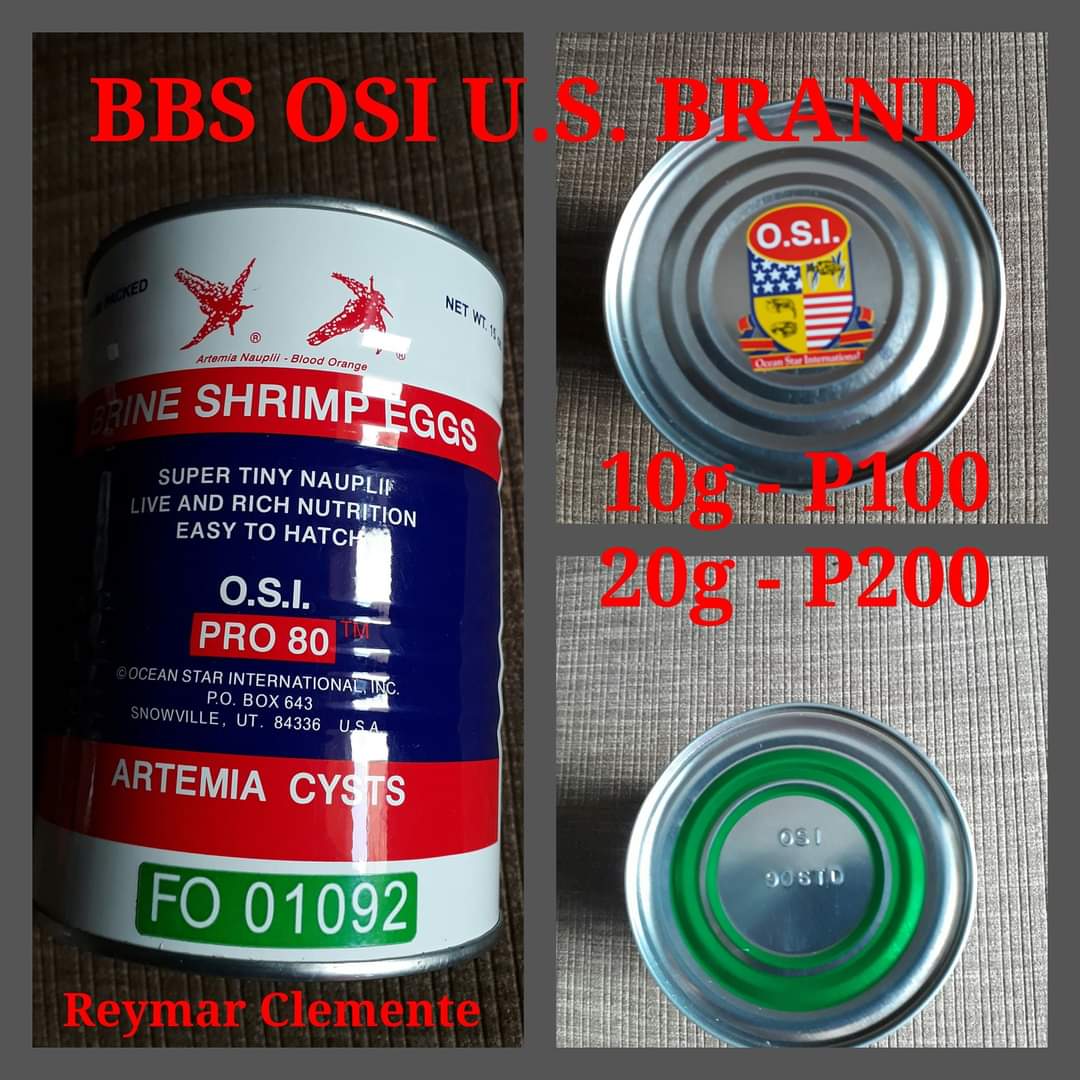 Brine Shrimp Eggs OSI Red Ring Artemia... - Surya Guppy Farm | Facebook