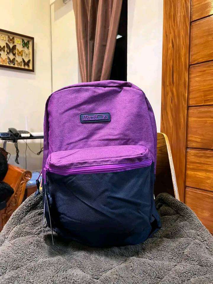 HAWK 5779 Corporate Backpack with Virupro Anti-Microbial protection |  Lazada PH