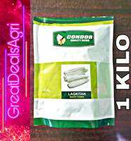 LAGKITAN (1 KILO)  OPV WAXY CORN CONDOR SEEDS