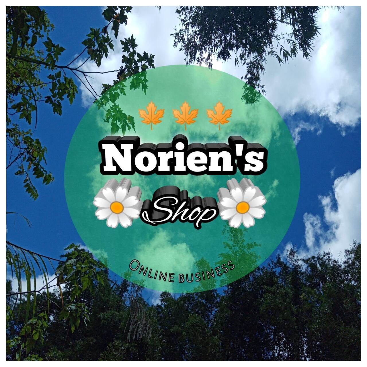 Norien S Shop