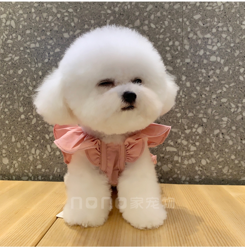 Cat dog clothes summer thin than bear Bomei tea cup small dog dog Korean  vest Teddy spring summer skirt - AliExpress