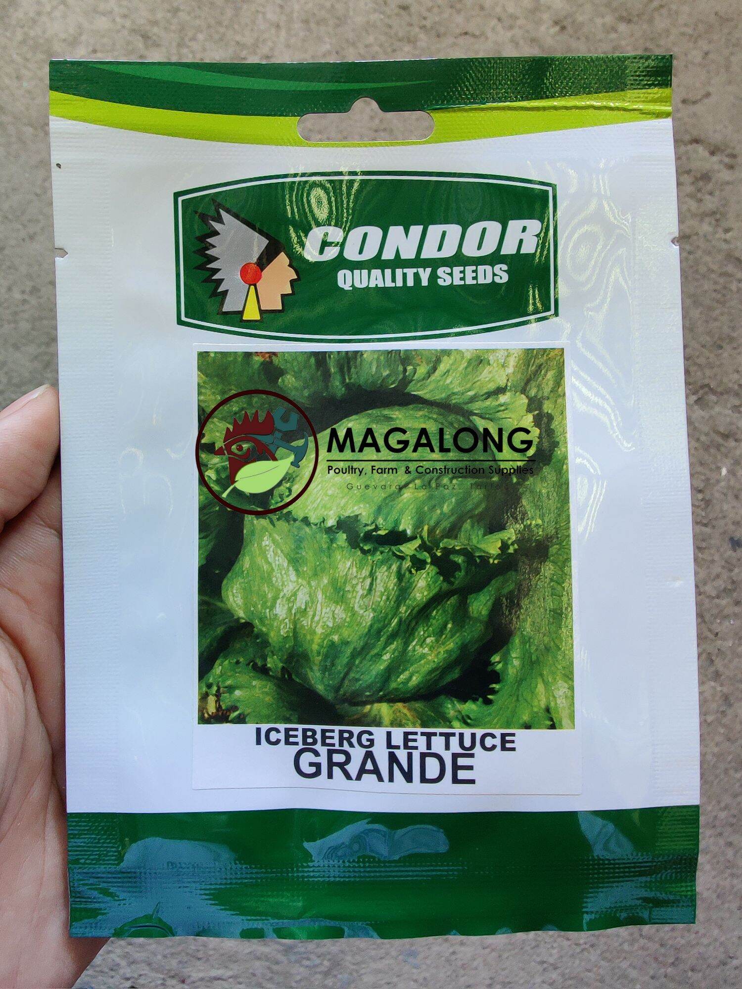 CONDOR SEEDS - ICEBERG LETTUCE SEEDS - GRANDE 2 Grams | Lazada PH