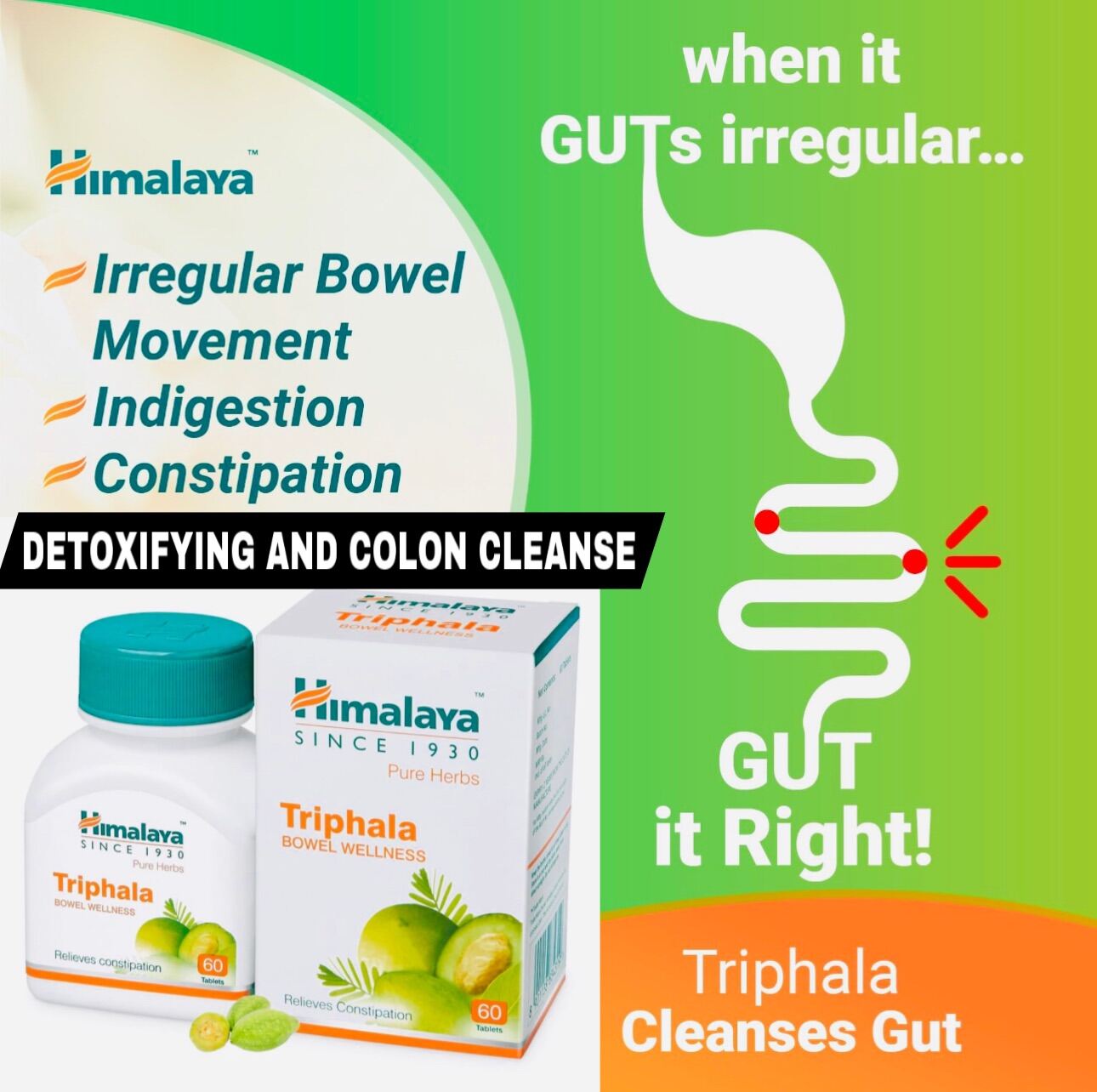 Himalaya Triphala Bowel Wellness Relieves Constipation 60 Tabs Lazada PH
