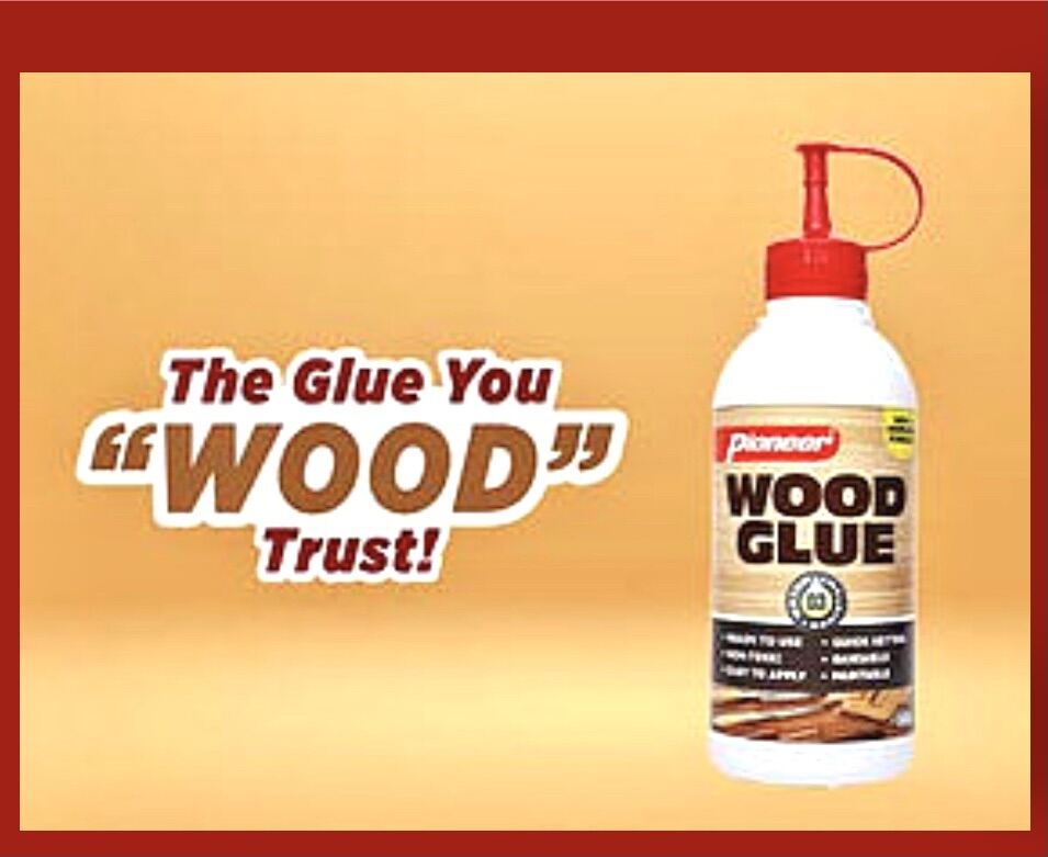 Pioneer Wood Glue 500g Lazada PH