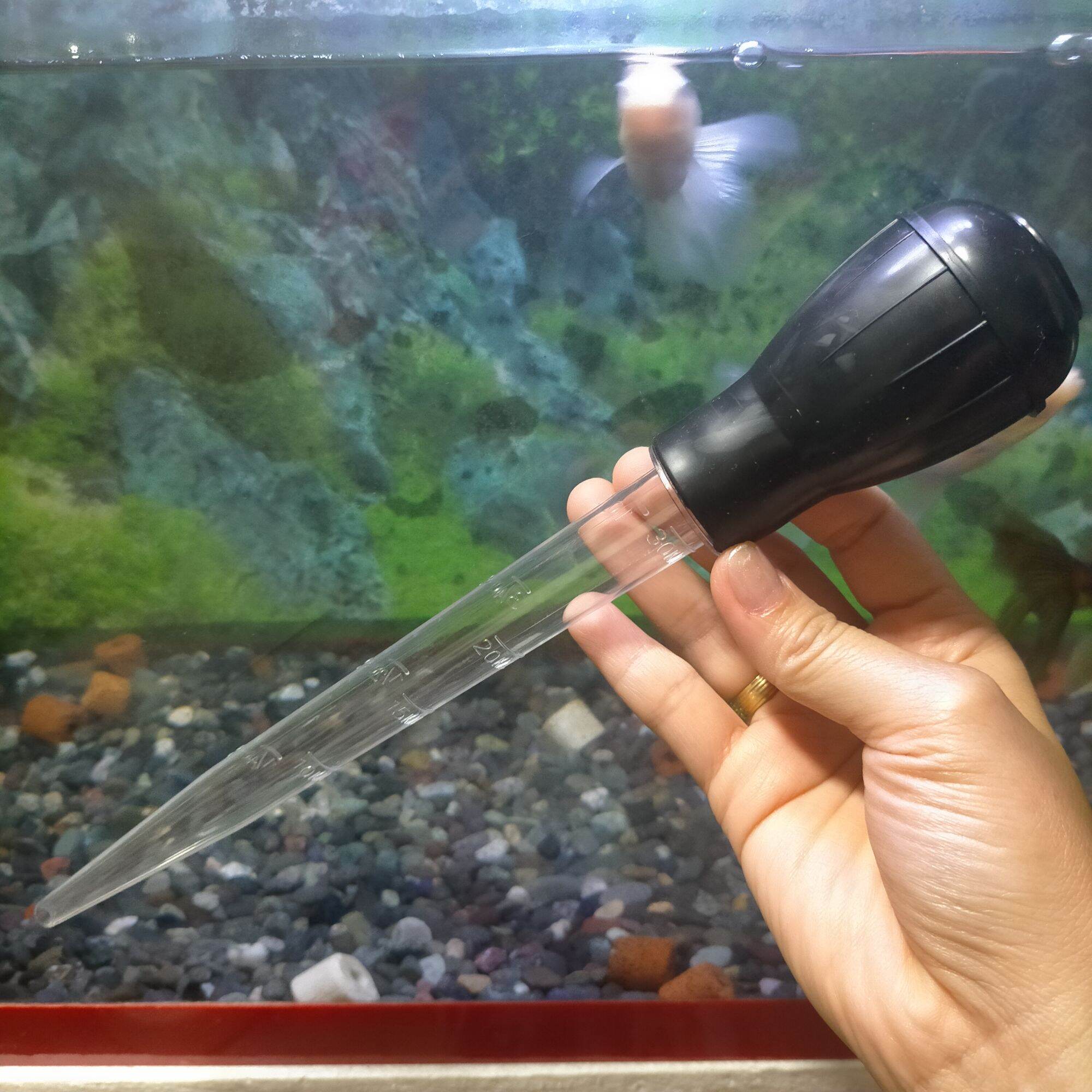 Turkey Buster for Aquarium assorted color Lazada PH