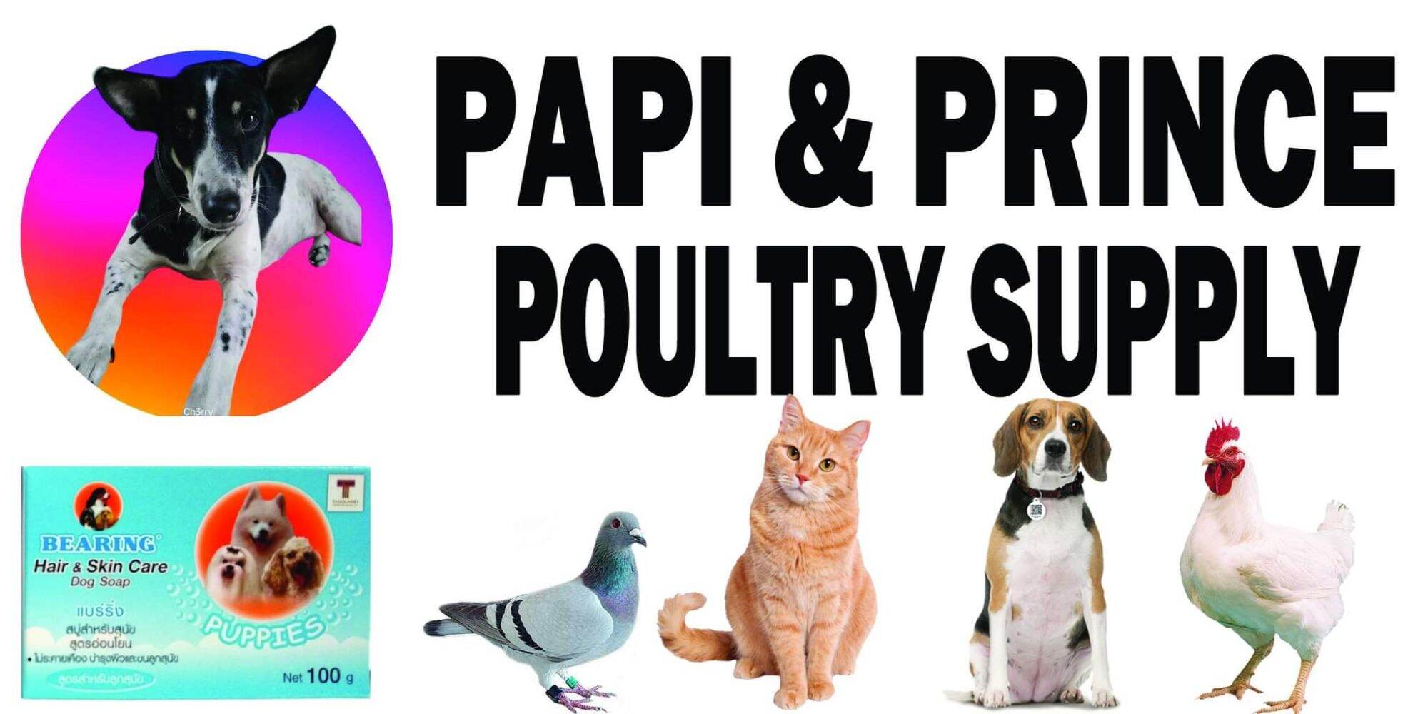 Shop online with Papi and Prince Pet Supply now! Visit Papi and Prince