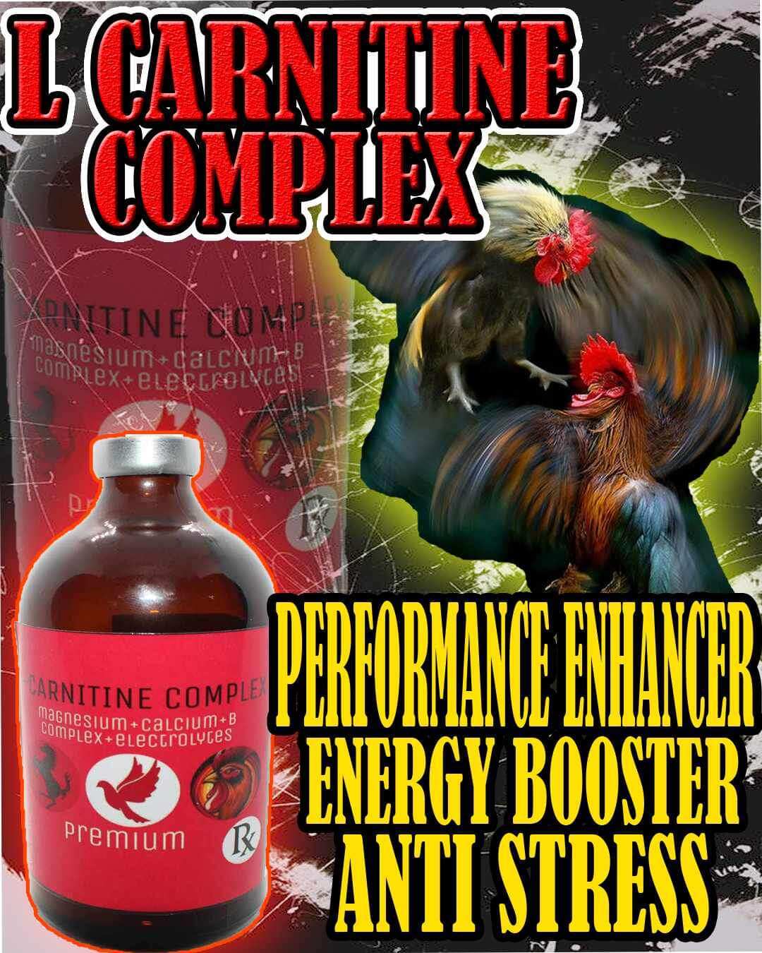 l carnitine for gamefowl EL TORO 10 tablets (Battlecock) Amino Acids Vitamin E Probiotic L Carnitine  for Gamefowl Rooster Conditioning（Quality Goods） main image 1