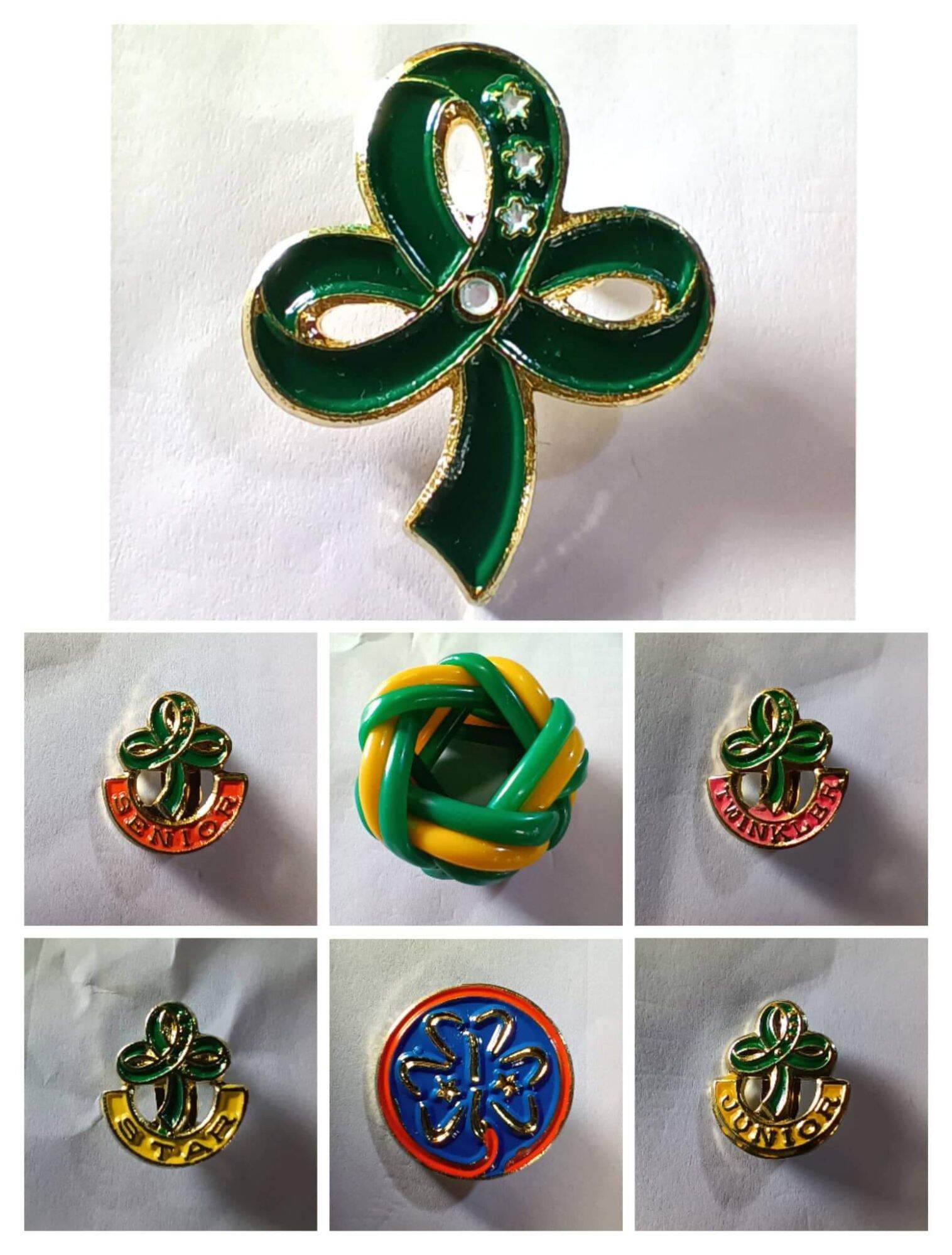 RING AND GSP PIN Lazada PH