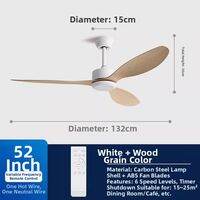 PUYU | Quiet High Power Ceiling Fan