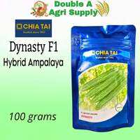 Dynasty F1 Hybrid Ampalaya / Bitter Gourd / 100 grams - Chia Tai