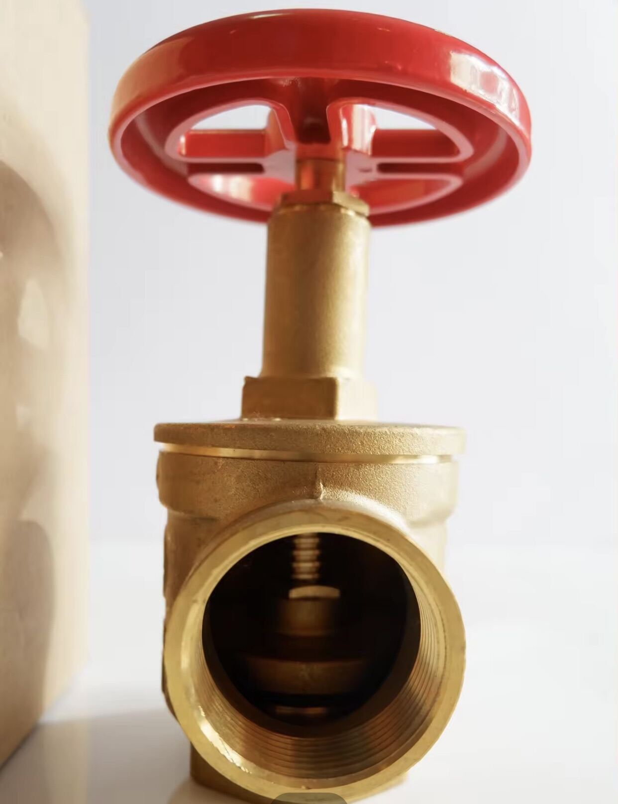 Giacomini A55 618R 1-1/2 Fire Hose Valve - 300