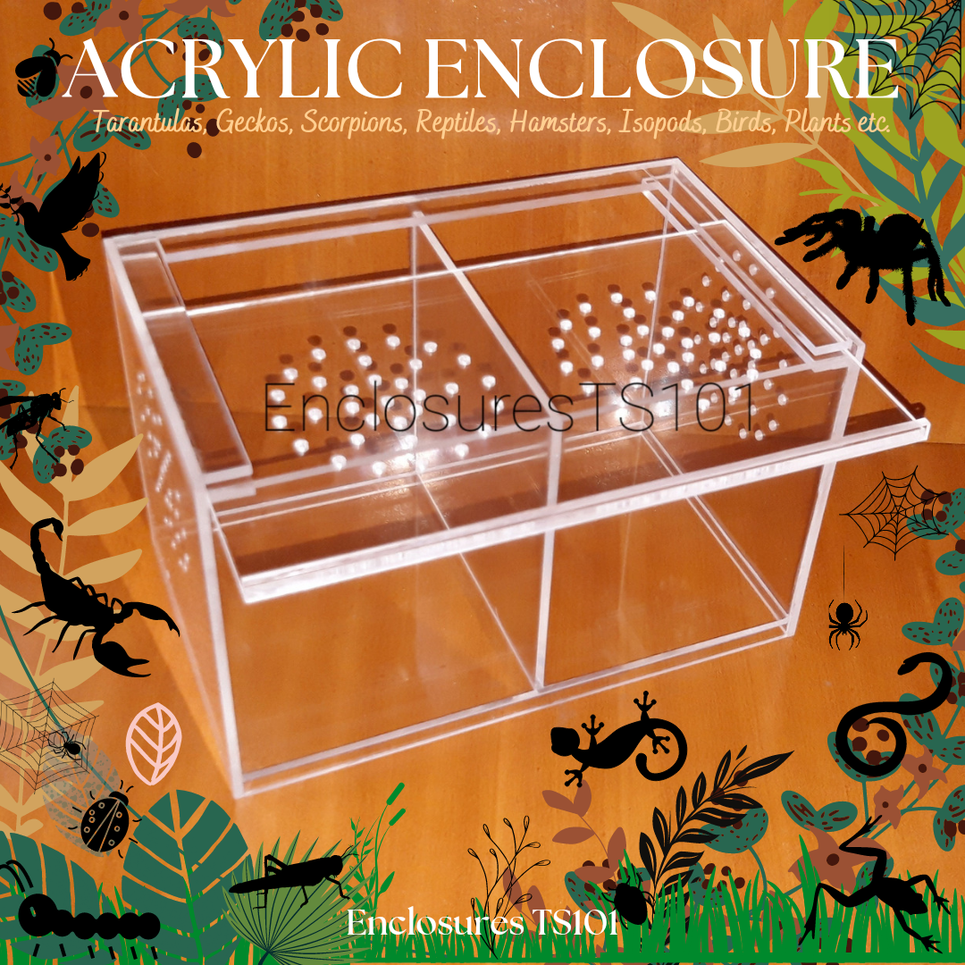 Acrylic Tarantula Enclosure | atelier-yuwa.ciao.jp