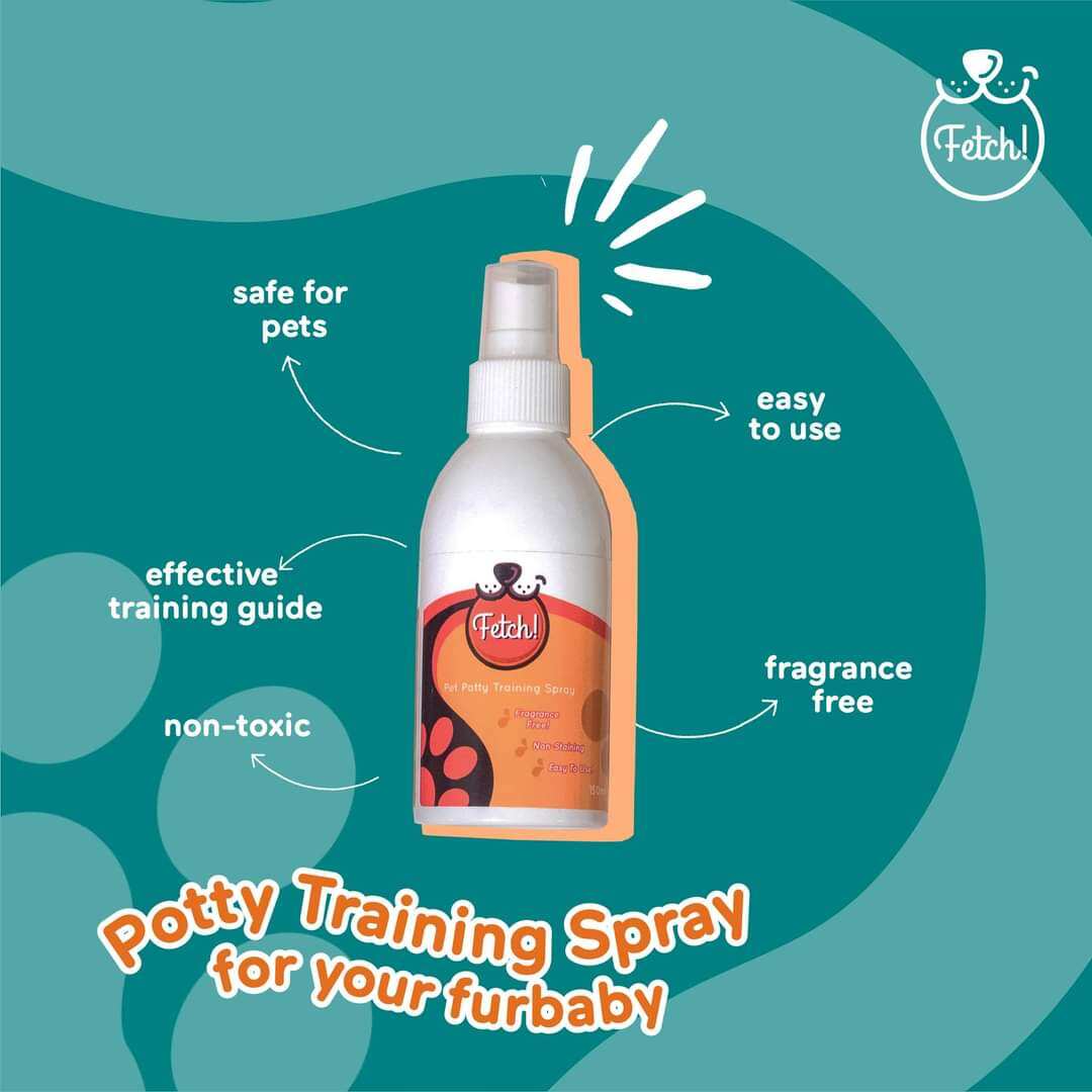 FETCH Pet Potty Training Spray Lazada PH